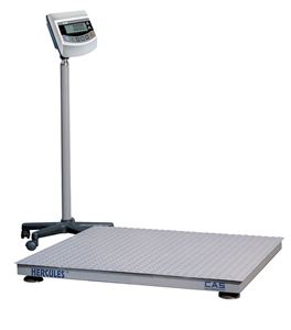 Cân sàn - Công Ty TNHH SX TM DV Cân Điện Tử Chính An Siêu